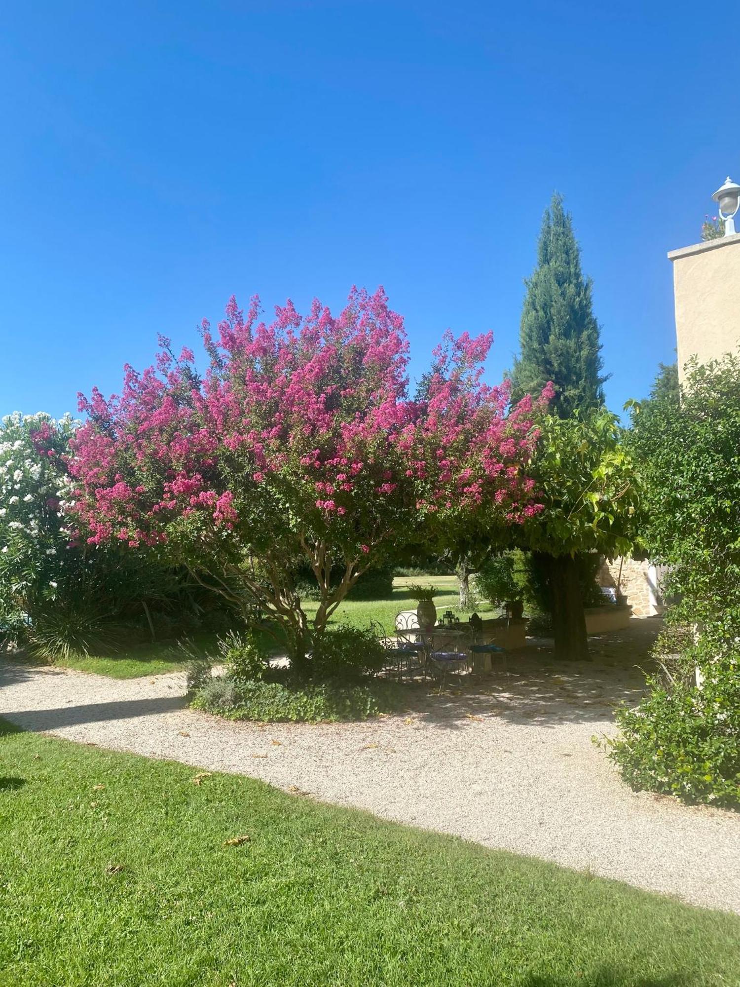 Mas Les Fleurs D'Hilaire Bed & Breakfast Monteux Ngoại thất bức ảnh